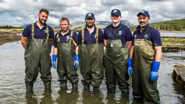 Five team members of DK Connemara Oysters standing in the sea water and looking at the camera. wp-image-188
