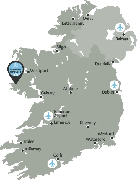 Location of DK Connemara Oysters, large towns and cities on the map of Ireland.