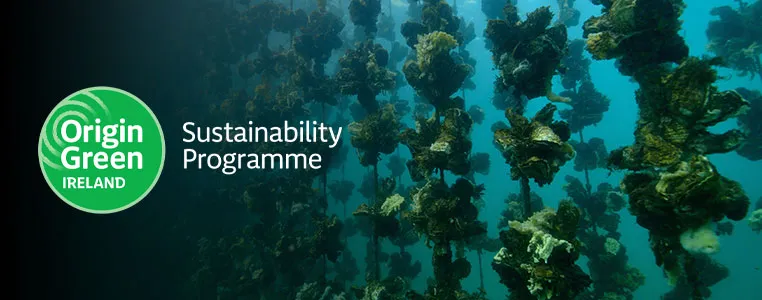 Underwater view of Oyster Cages with Origin Green Ireland Sustainability logo.