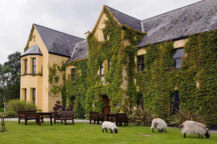 Exterior of Inagh Lodge Hotel, Connemara with sheep grazing on the front lawn and garden furniture. wp-image-1233
