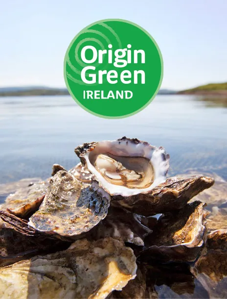Origin Green Ireland logo with fresh oysters displayed below.