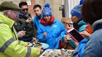 Oyster Farm Tourists with Tour Guide, Tasting Oysters wp-image-885