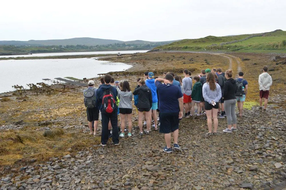 A large group stand on the shore of Ballinakill bay, as Tour Guide, David Keane speaks to them. wp-image-1384