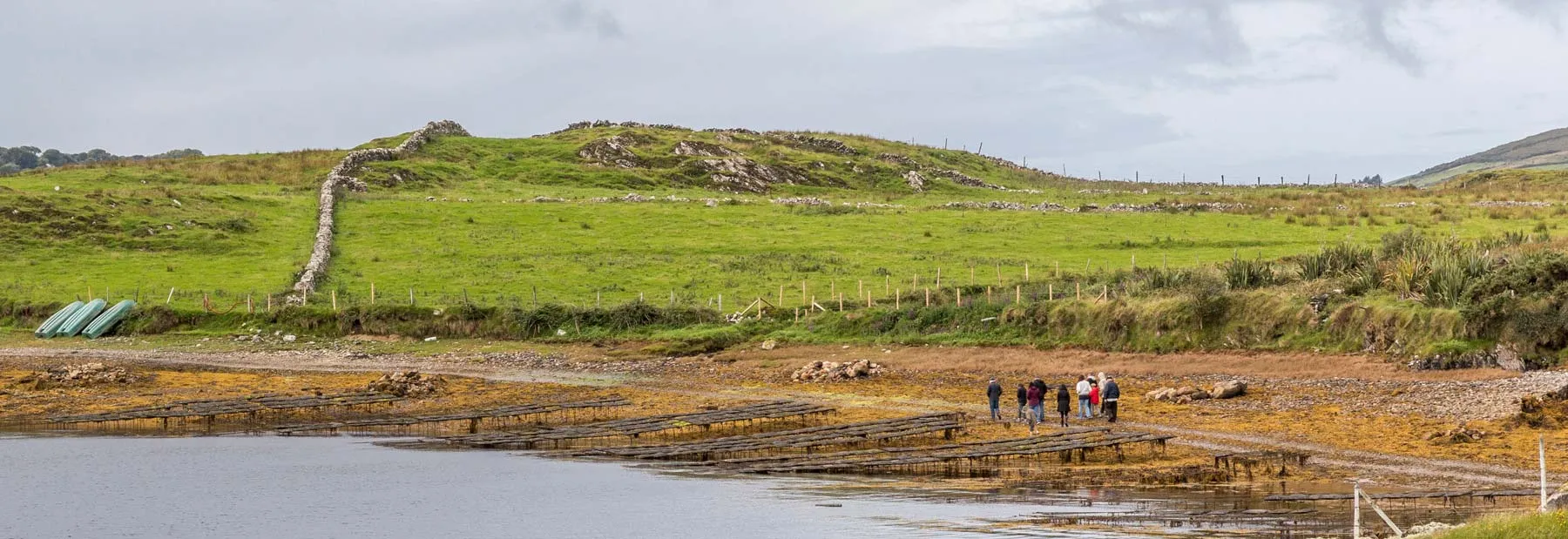 Wide angle of a Tour Group and Guide walking along the shores of Ballinakill Bay, with oyster cages