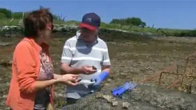 DK Connemara Tour Guide David Keane discusses oysters with a visitor.