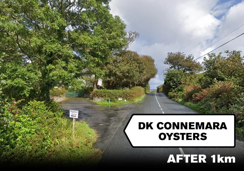 Left turn road for DK Connemara Oysters in Dawros, Letterfrack wp-image-1506