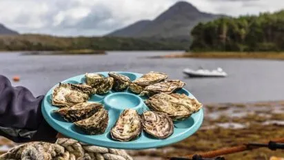 Oysters on a teal coloured tray held on display, with Ballinakill Bay, Connemara in the background.